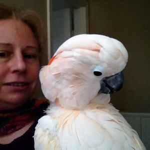 Meet your Posher, Mary